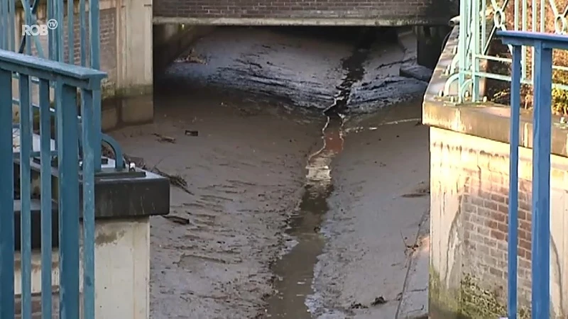 Wandeling langs Gete om inwoners hun zegje te laten doen over invulling rivier in Tienen