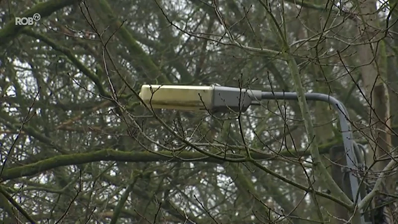 Gaat de straatverlichting in Rotselaar opnieuw aan 's nachts?