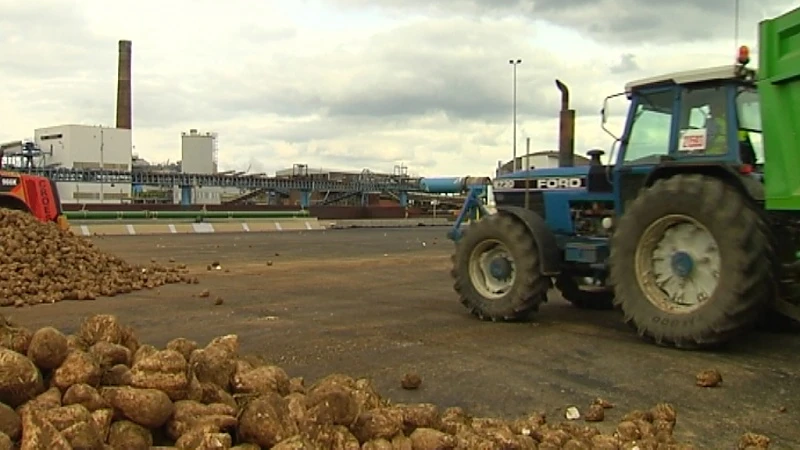 Dreigt sluiting voor Tiense Suikerfabriek?