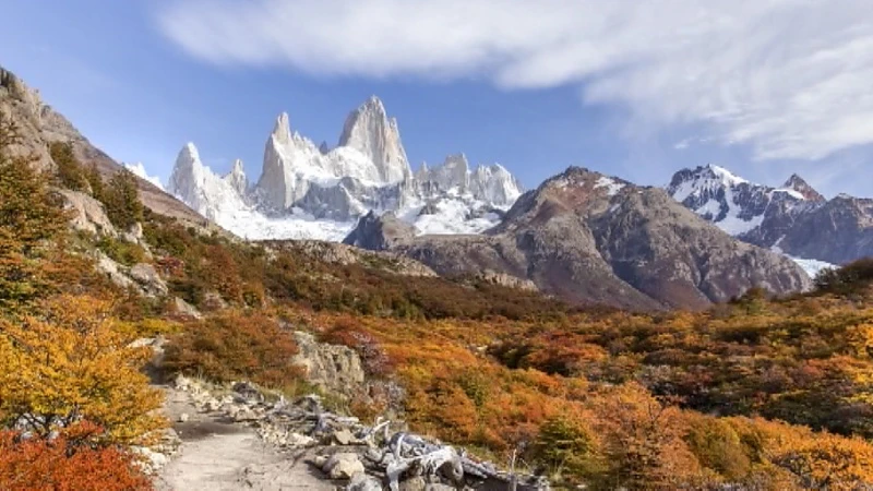 Natuurfotografen uit Wezemaal trekken langs de koudste plekken ter wereld