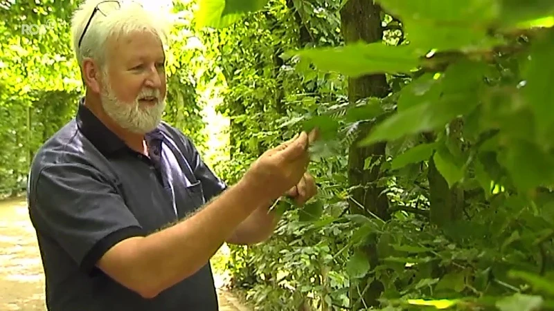 Tuinman Mierenbergpark uit Assent omgekomen