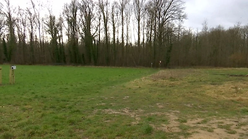 Er komen maar liefst 5000 bomen in natuurgebied De Spicht in Lubbeek