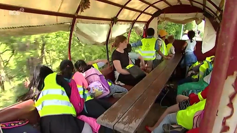 Onkruidwandelingen en koeienvlaaien versieren tijdens 'Beleef Buiten Dag' in Leuven