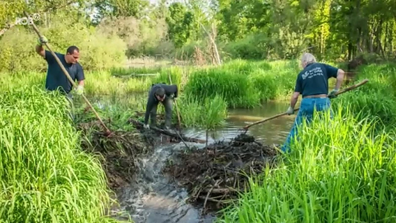 Beverdam in Tremelo verlaagd om wateroverlast in Vijversbeek tegen te gaan