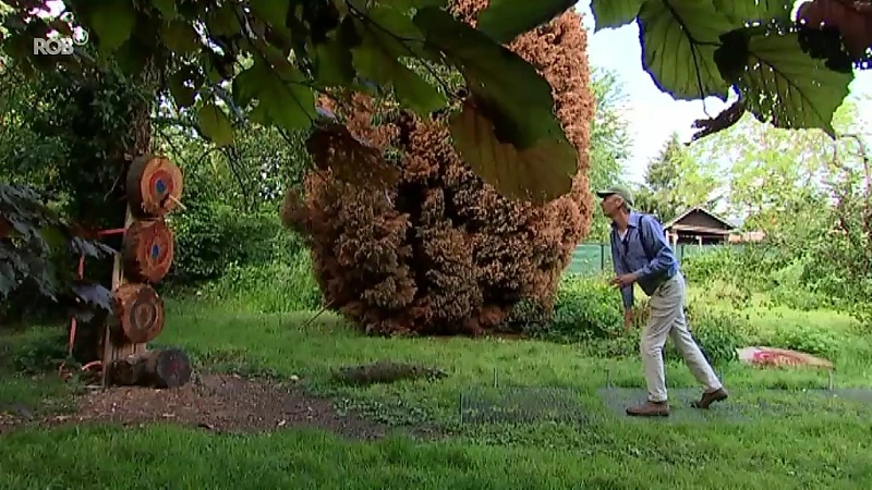 Georges uit Herent mag als enige Belg naar WK messen- en bijlwerpen: "Dit is geen wapen, je kan er nog geen salami mee doorsnijden"