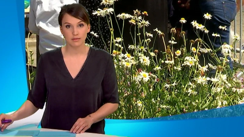 Leuvenaars kunnen groene vingers goed gebruiken dankzij buurtplantsoen