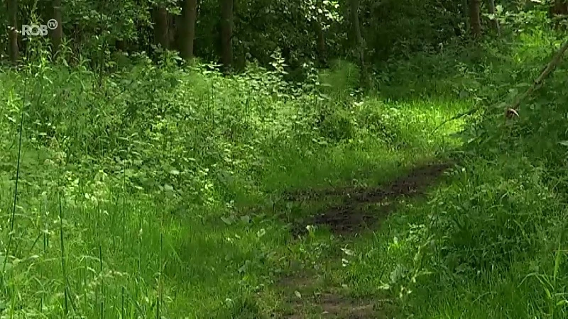 Meisje (17) aangevallen en bedreigd met mes tijdens joggen in Silsombos in Erps-Kwerps