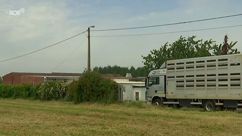 Uitbater slachthuis in Kortenaken bedreigt controleurs van Voedselagentschap en sluit ze op