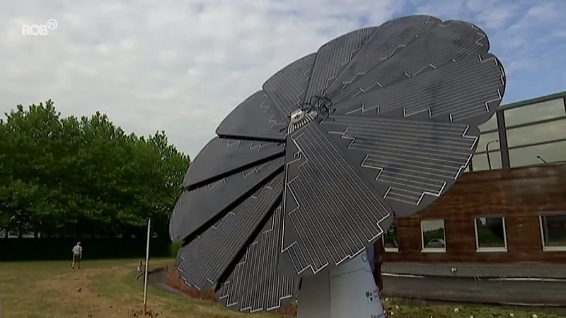 Je smartphone opladen aan een zonnebloem? Dat kan in Hoegaarden