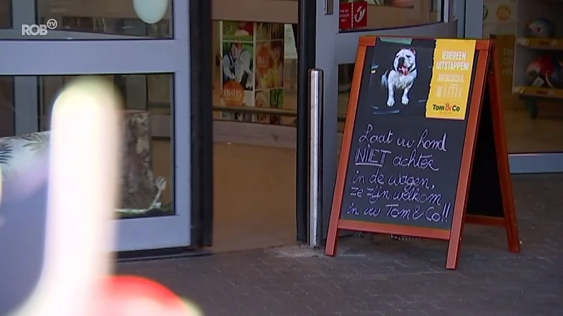 Je hond droppen tijdens het winkelen? Het kan in Kessel-Lo!