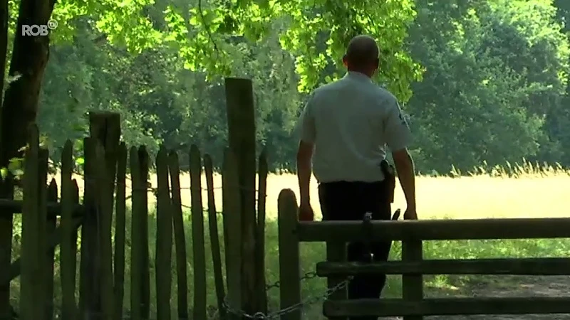 Code oranje in onze bossen en natuurgebieden: wie vuur aansteekt, riskeert boetes van 350 euro