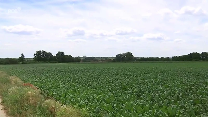 Drie windmolens langs E40 volstaan voor CD&V Hoegaarden