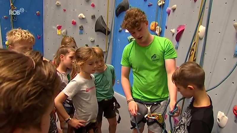 Kinderen leren klimmen op kamp in Wilsele