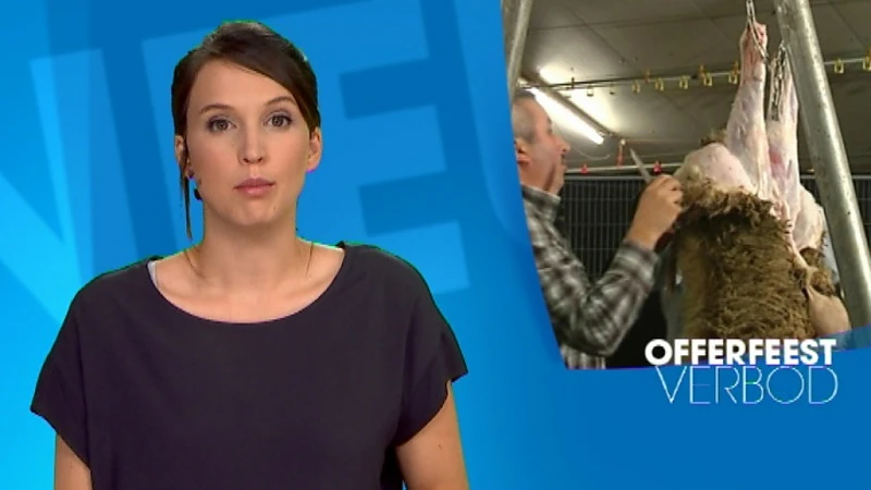 Ook in Werchter Offerfeest, en dat voor de eerste keer met verbod op onverdoofd slachten