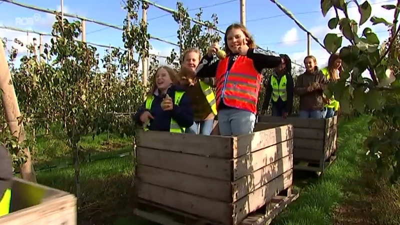 Getest en goedgekeurd: peren plukken en appelen persen in Bierbeek