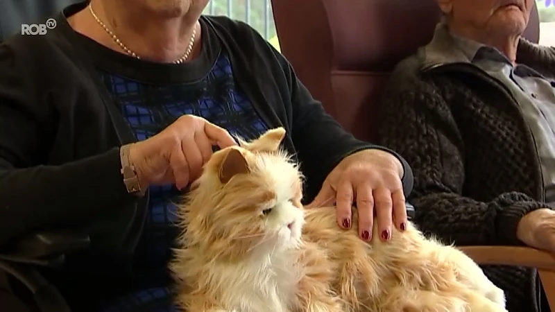 Bewoners wzc Edelweis in Begijnendijk zijn dol op Molly, de therapiekat die knuffels geeft