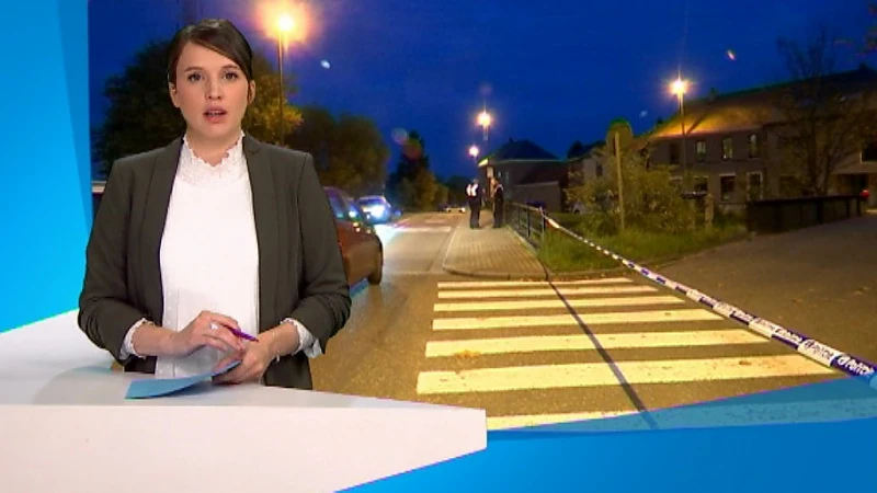Metaalvissers vinden obussen in Dijle, Weggevoerdenstraat afgezet voor ontmijningsdienst DOVO