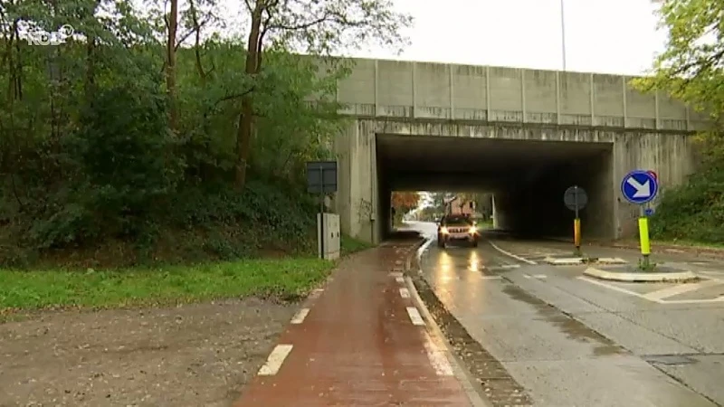 Vos valt meisje twee keer aan in Oud-Heverlee