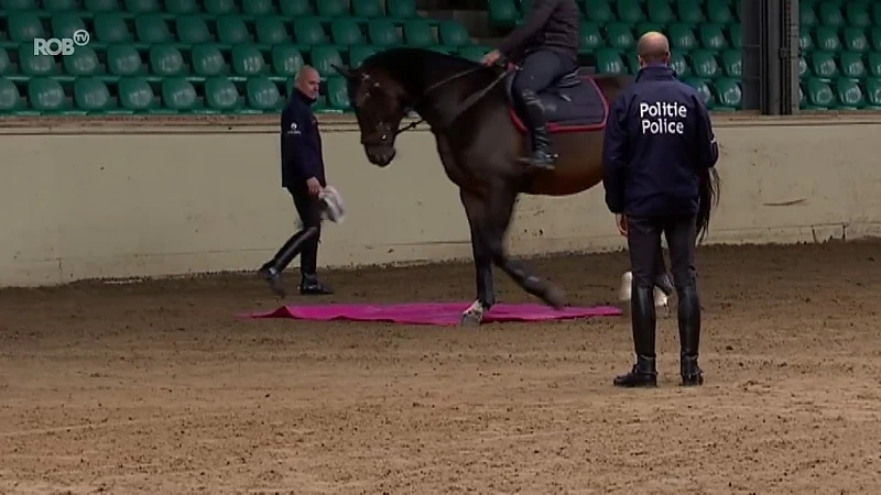 Federale politie zoekt paarden via open kijkdag in ruiterschool van Oud-Heverlee