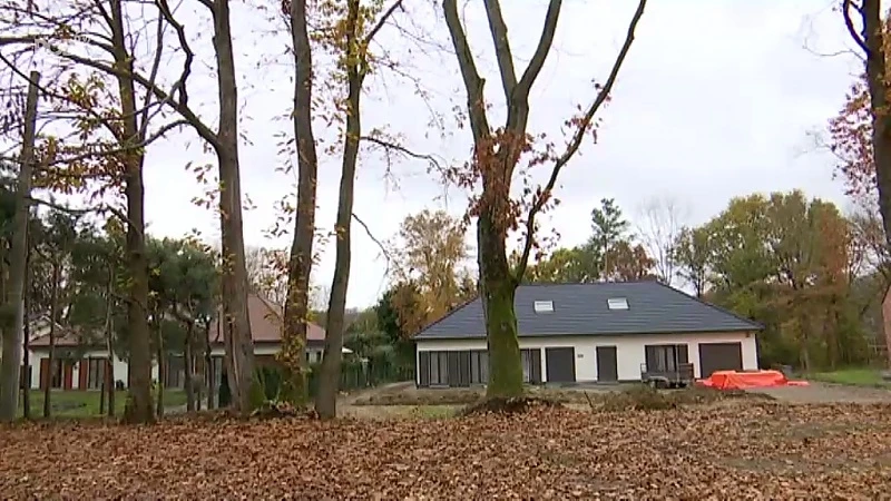 Rotselaar gaat illegale bomenkap in woonparkgebieden strenger controleren en bestraffen