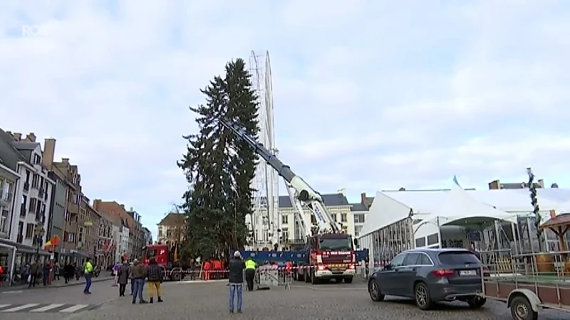 25 meter hoog en meer dan 5 ton zwaar: dít wordt de kerstboom voor de Grote Markt in Tienen