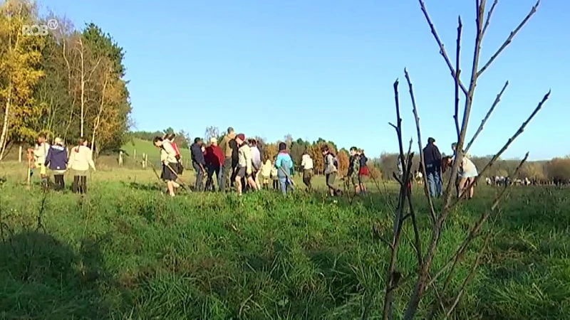 Natuurpunt creëert nieuw bos in Aarschot met 3300 bomen in