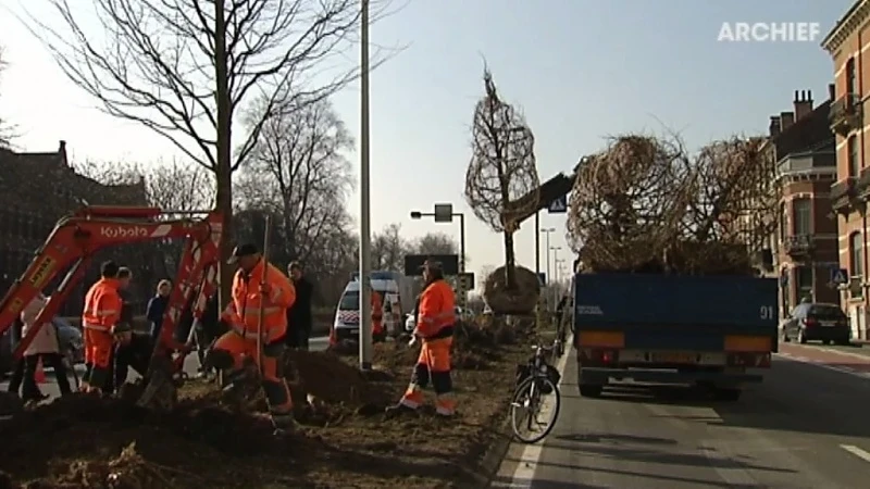 Stad Leuven gaat twee minibossen planten buiten de ring, locatie nog niet gekend