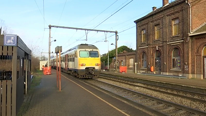 Inwoners Wijgmaal zorgen voor oplossing stationsgebouw