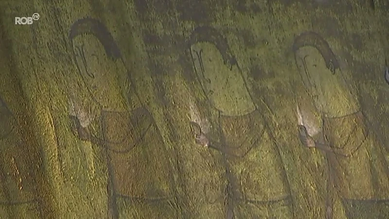Meterslange kunstwerk langs Mechelsesteenweg in Herent verdwijnt onder laagje mos