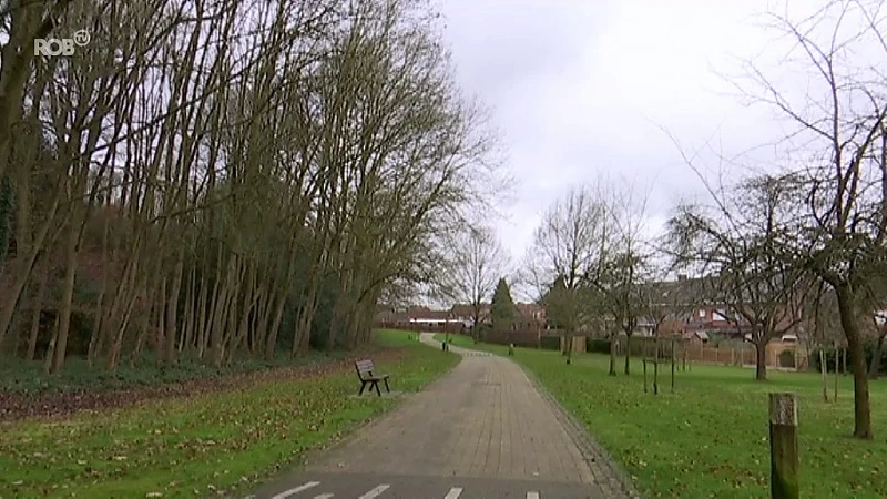 Kraaien en kauwen zorgen voor overlast in park de Bron in Kessel-Lo