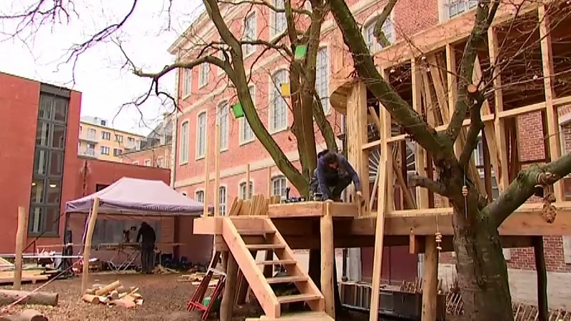 Sara uit Kortenaken heeft coolste job: boomhuttenbouwster