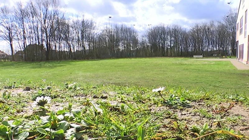 Stadsbestuur van Tienen zoekt kandidaten om leeg terrein op site Houtemveld in te vullen