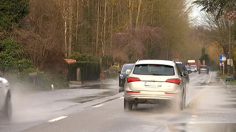 Nergens anders in ons land staat waterpeil hoger dan in rivier De Winge in Rotselaar