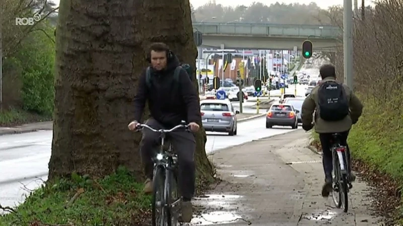 Mogelijke verkeershinder door snoeiwerken op de Leuvense- en Brusselsesteenweg in Herent en Kortenberg