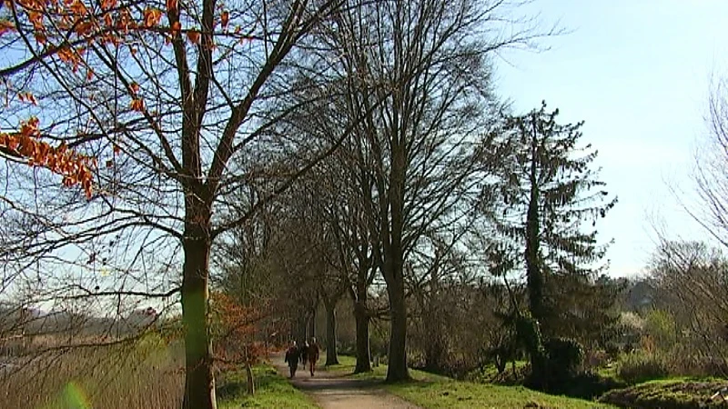 Nu het nog mag: opvallend veel wandelaars en joggers in Abdij van Park deze morgen