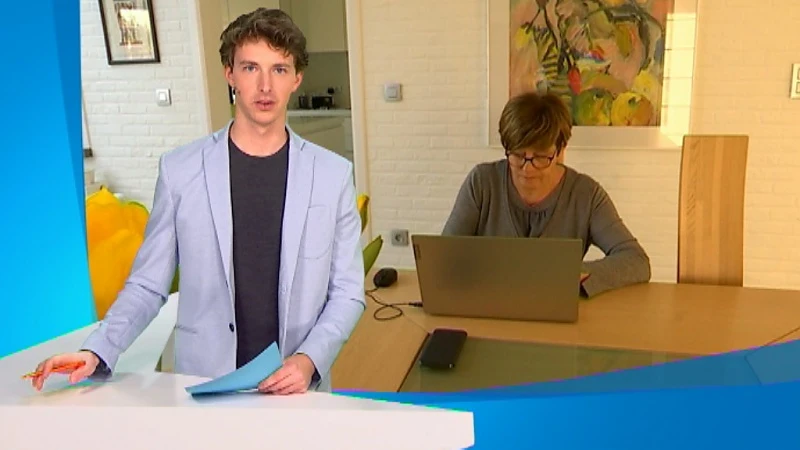 Halve Maan in Diest heeft nieuwe domeinbeheerder