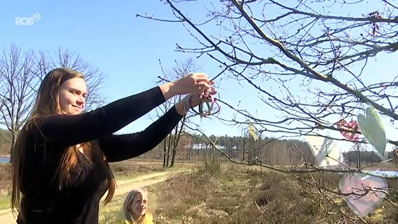 Geen appelen of peren maar boodschappen van hoop aan Vreugdeboom in Averbode