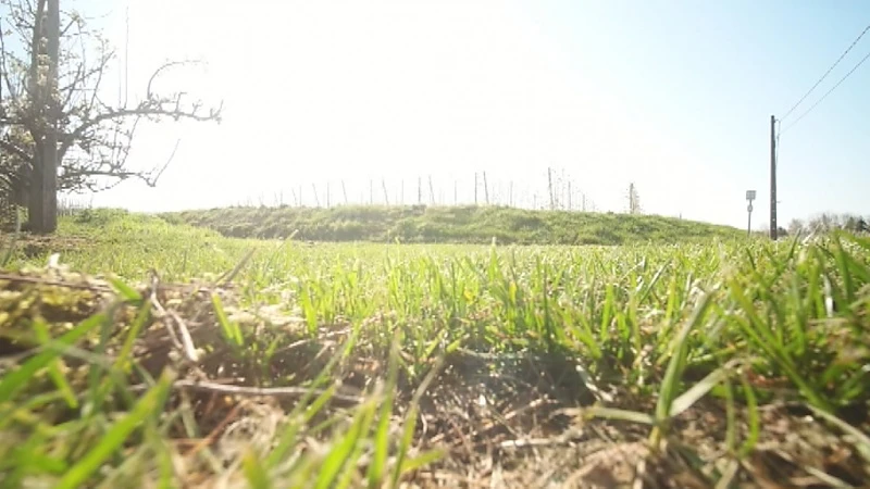 Idyllische luchtbeelden: bloesems in onze regio staan in bloei