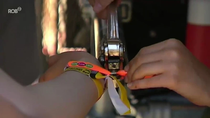 Hoofdafbeelding voor artikel Het is nu definitief: Rock…