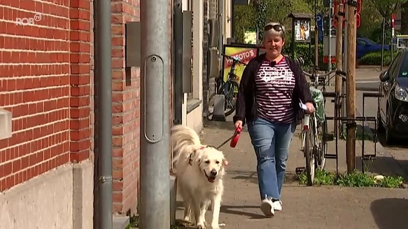 Heidi start fotozoektocht in Wezemaal voor buurtbewoners