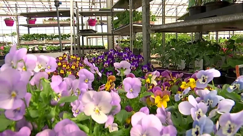 Tuincentra en doe-het-zelfzaken bereiden zich voor op heropening