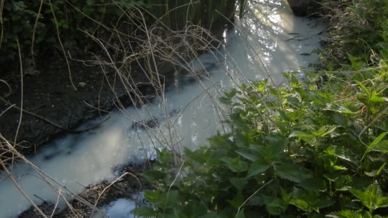 "Ik dacht meteen aan de aprilvervuilingen": wie vervuilt het water van de Velpe in Kortenaken?