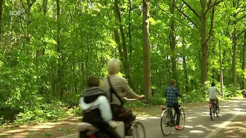 Stukje bos in Schiplaken moet plaatsmaken voor nieuwe parking