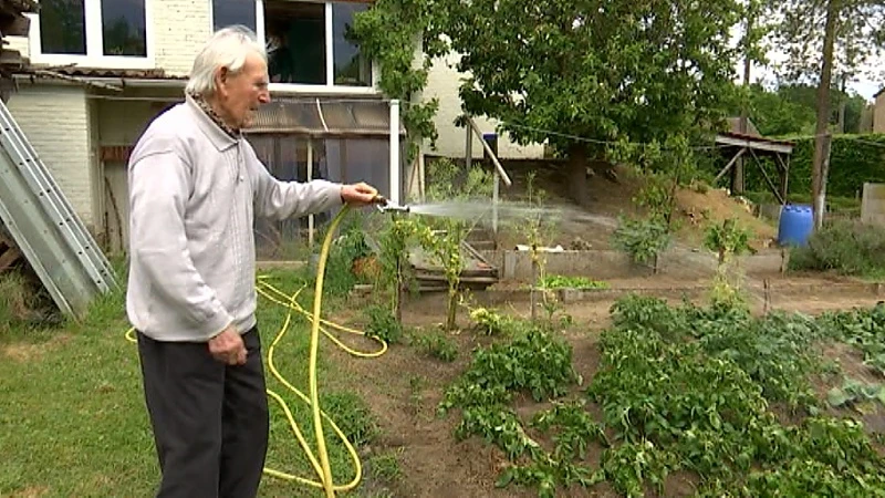 Straffe Fons (102) uit Schaffen plant zelf aardappelen: "Je moet doen wat je graag doet hé"