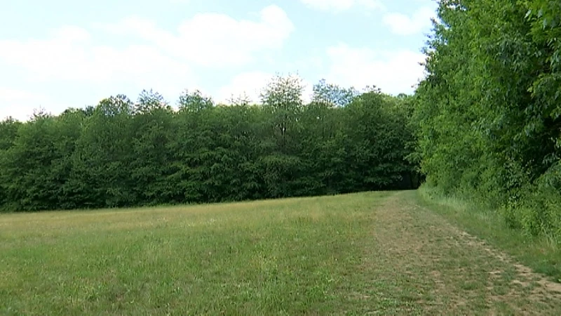 Het Lindenbos in Lubbeek populair voor lockdownfeestjes