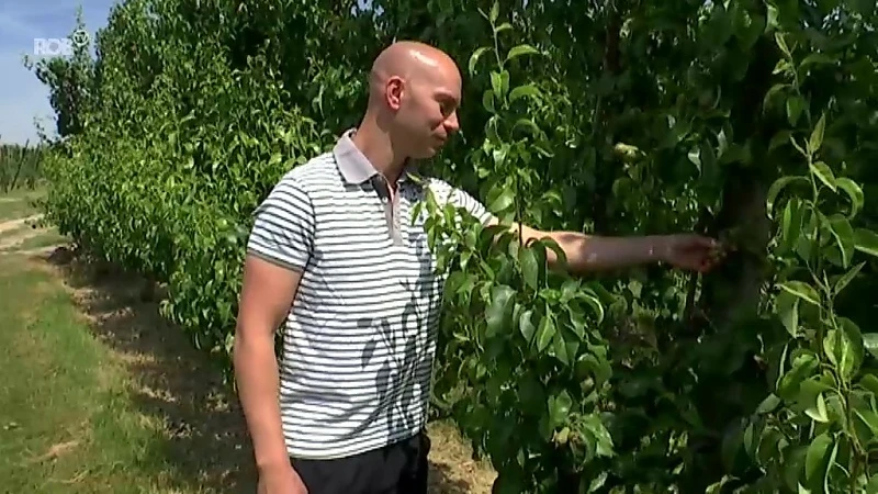 Hoofdafbeelding voor artikel Landbouwers opgelucht dat…