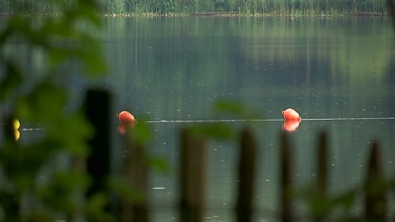Zwemmen in de Plas van in Rotselaar kan voorlopig nog niet