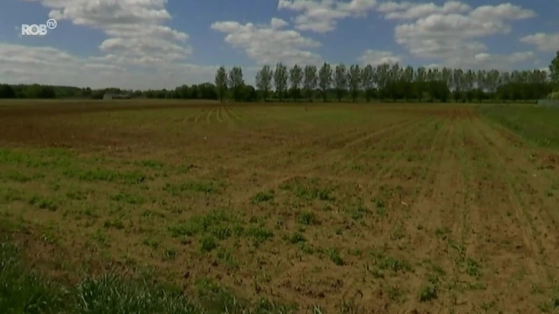 Begijnendijk en Holsbeek dienen bezwaar in tegen windmolens in Aarschot