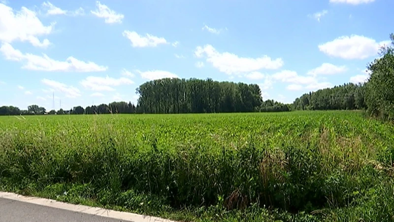 Haacht zet in het najaar 3 ANPR-camera's  aan de Waterstraat en Kapelleweg