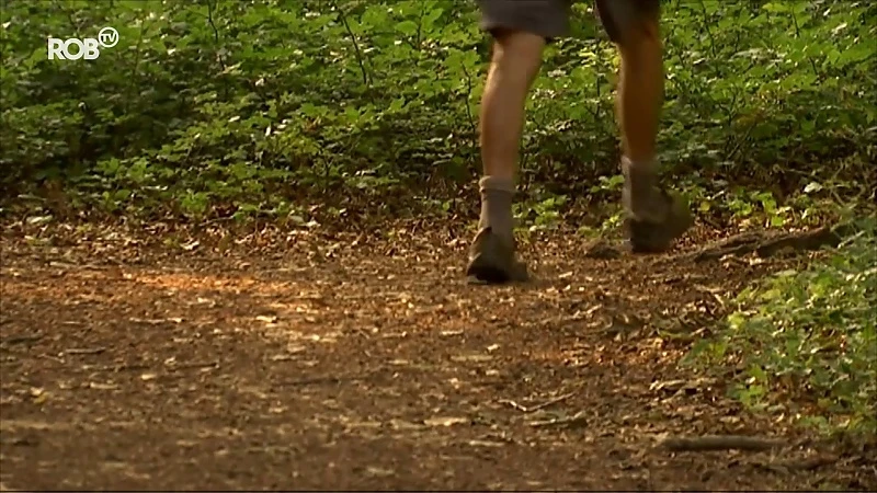 Hoofddader van jeugdbende uit Lubbeek krijgt 30 maanden cel met uitstel